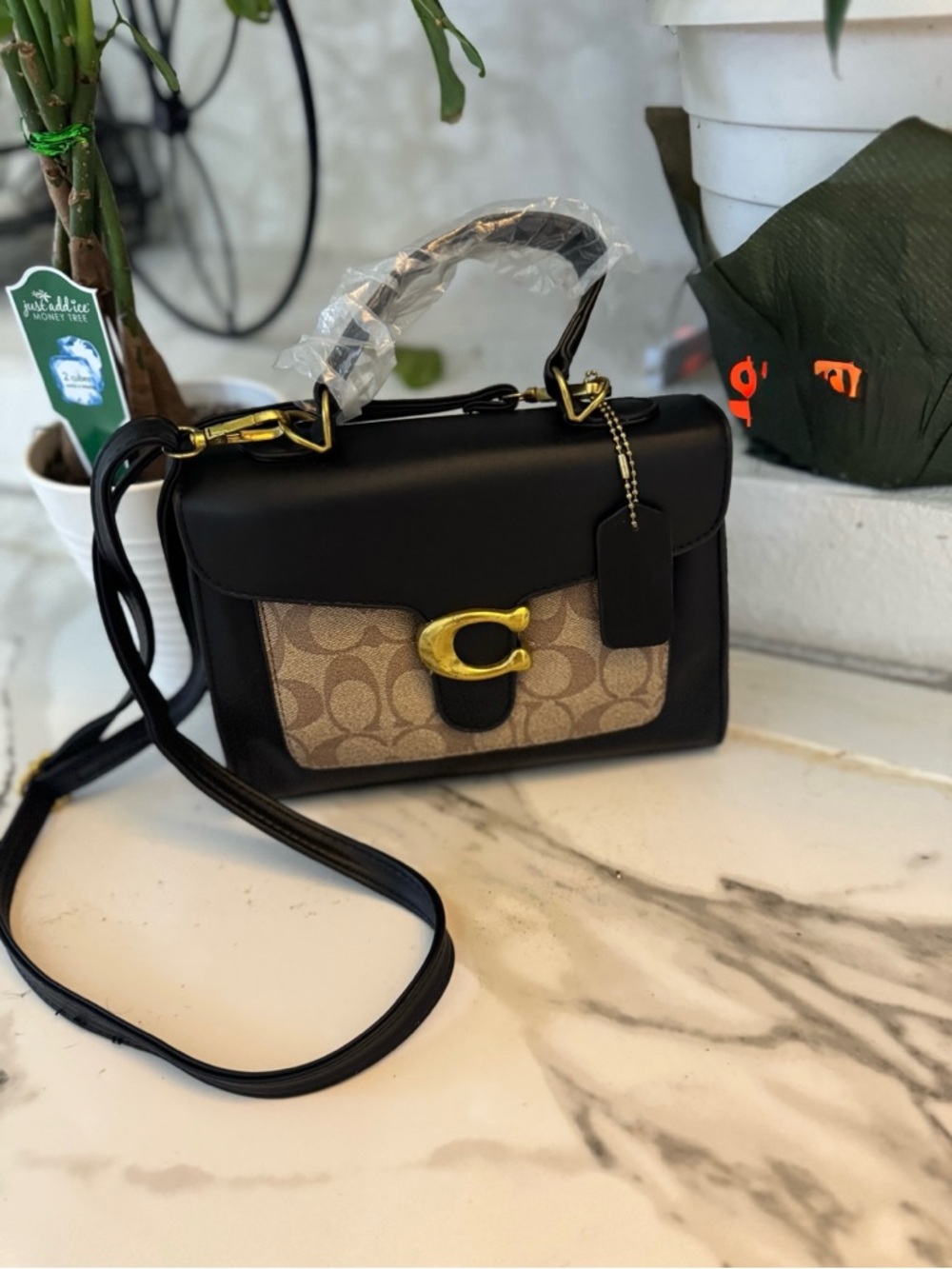 Black and Beige Signature Canvas Cassie Shoulder Bag